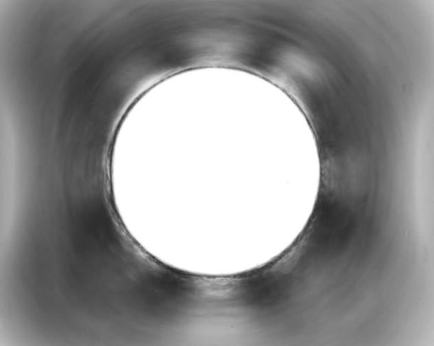 X0000086901150200704301012