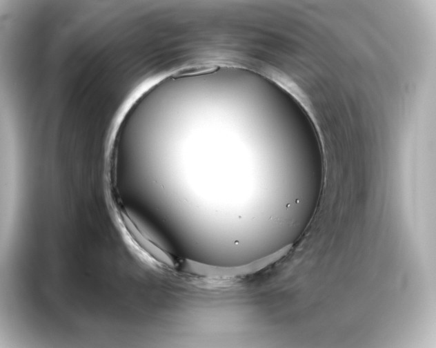 X0000086901152200704301012