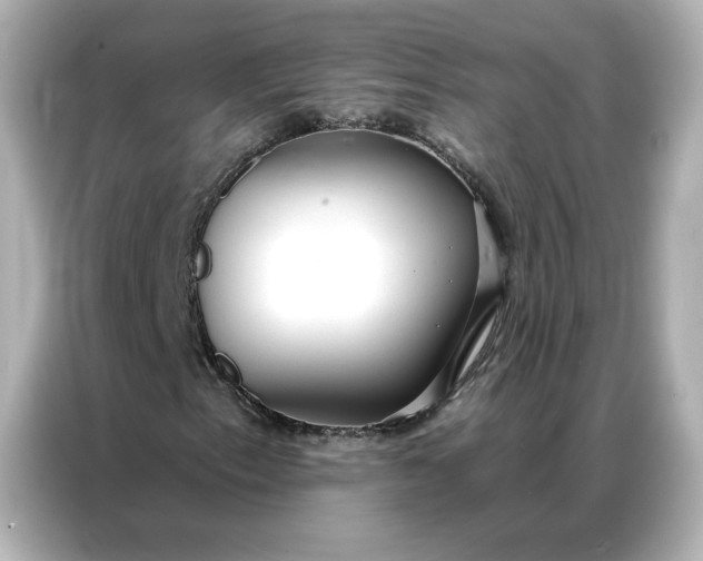 X0000086901153200704301011