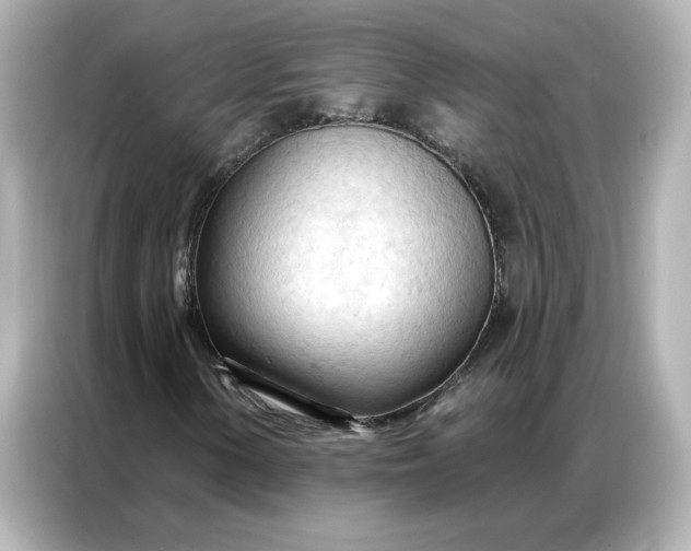 X0000086901154200704301011