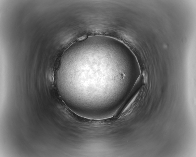 X0000086901155200704301011