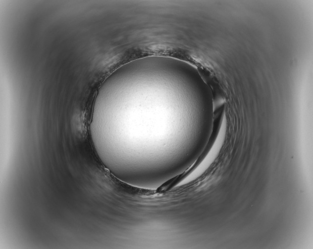 X0000086901156200704301011