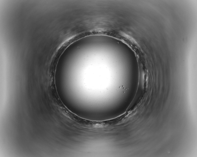 X0000086901160200704301011