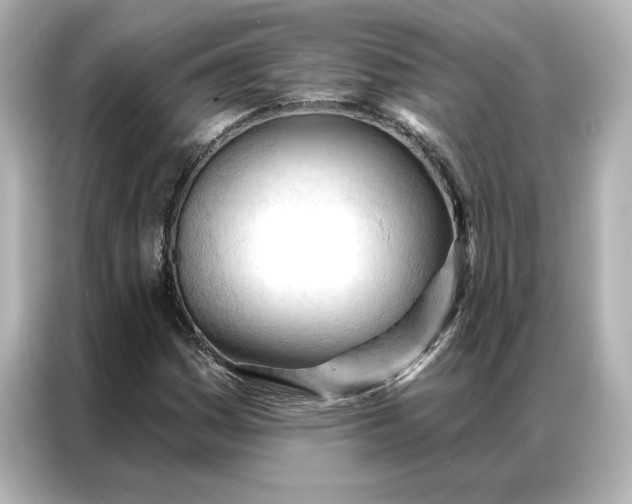 X0000086901161200704301011