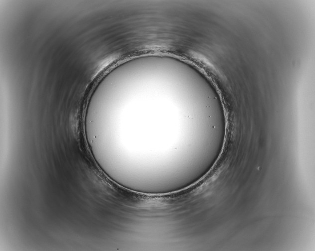 X0000086901162200704301011