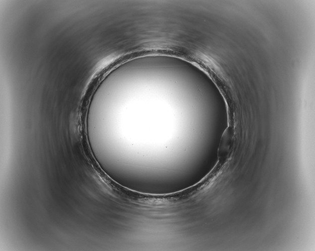 X0000086901164200704301011