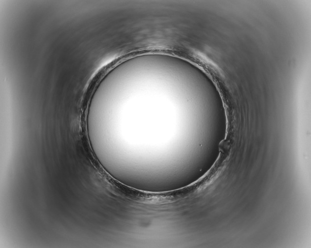 X0000086901166200704301011