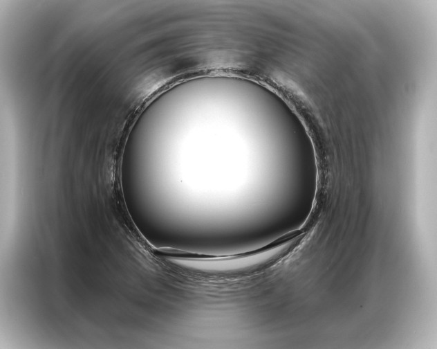 X0000086901169200704301011