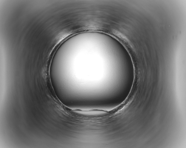 X0000086901170200704301011