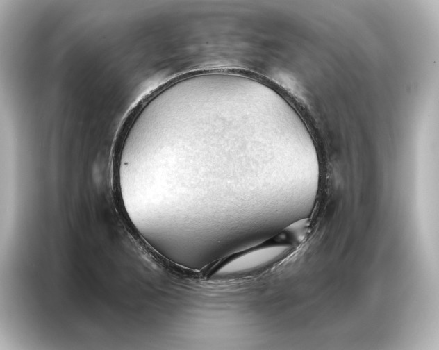 X0000086901173200704301011