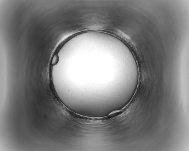 X0000086901174200704301011