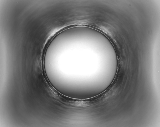 X0000086901176200704301011