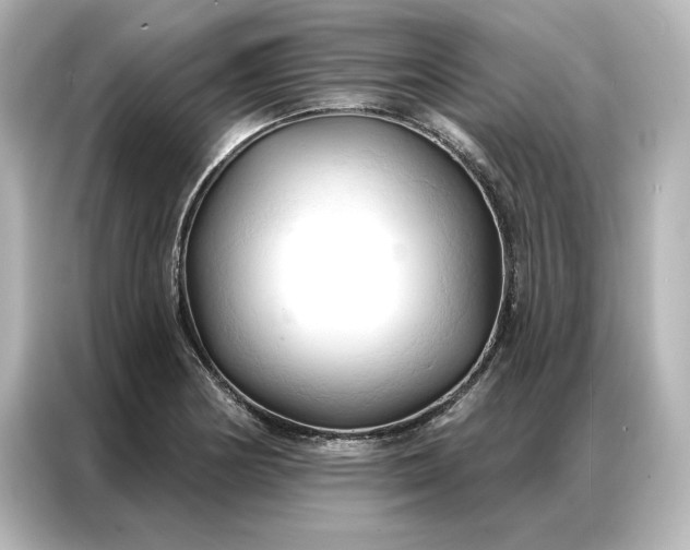 X0000086901178200704301011