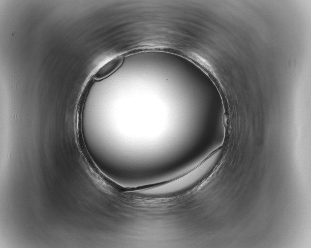 X0000086901179200704301011