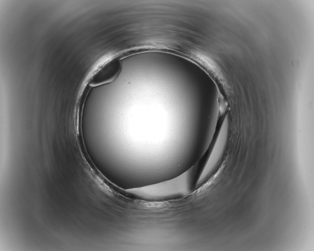 X0000086901180200704301011