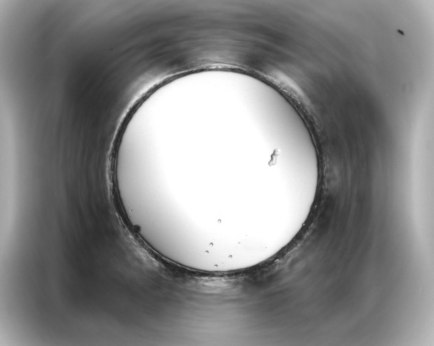 X0000086901182200704301011