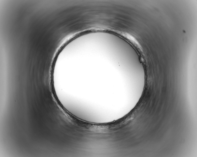 X0000086901183200704301011