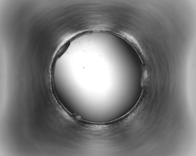 X0000086901184200704301011