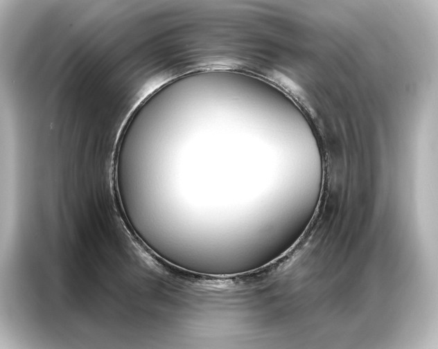 X0000086901186200704301011