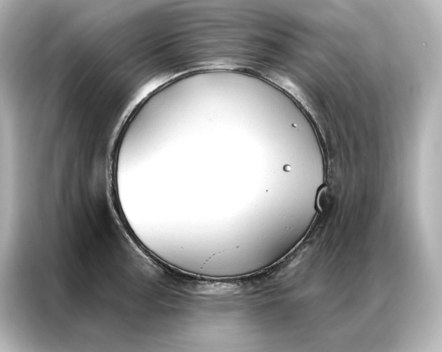 X0000086901187200704301011