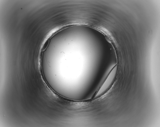 X0000086901188200704301011