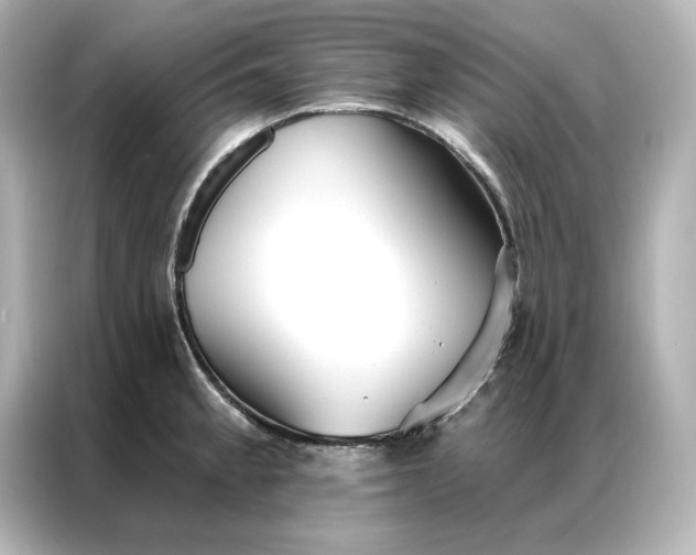 X0000086901189200704301011