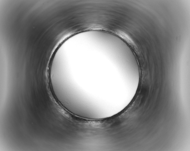 X0000086901190200704301011