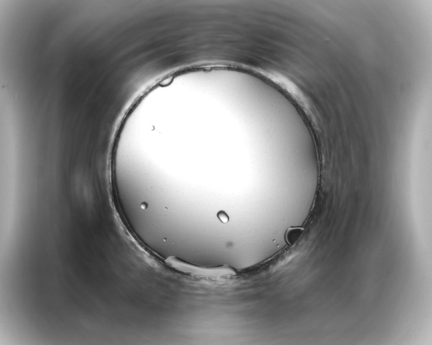 X0000086901191200704301011