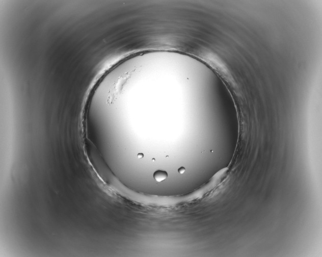 X0000086901192200704301011