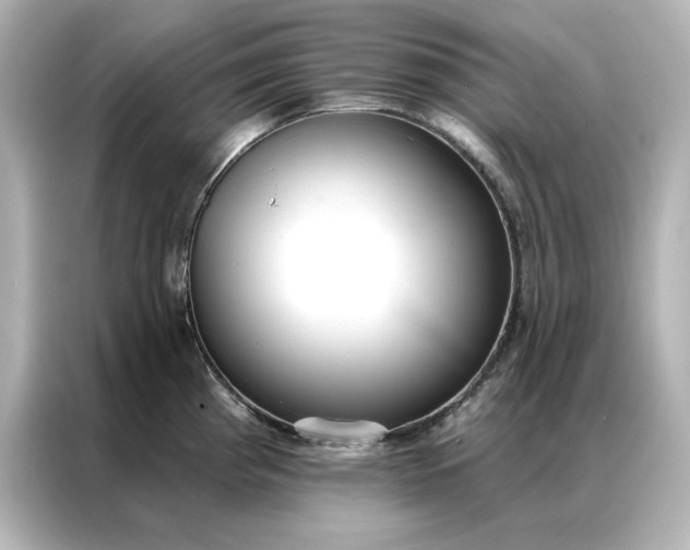 X0000086901193200704301011