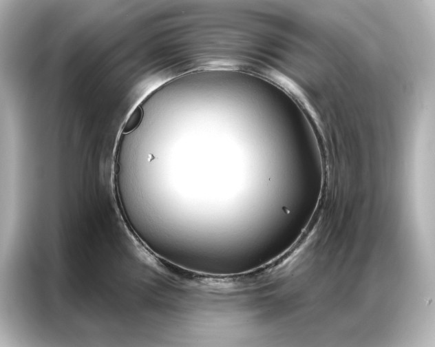 X0000086901194200704301011