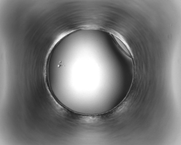 X0000086901195200704301011