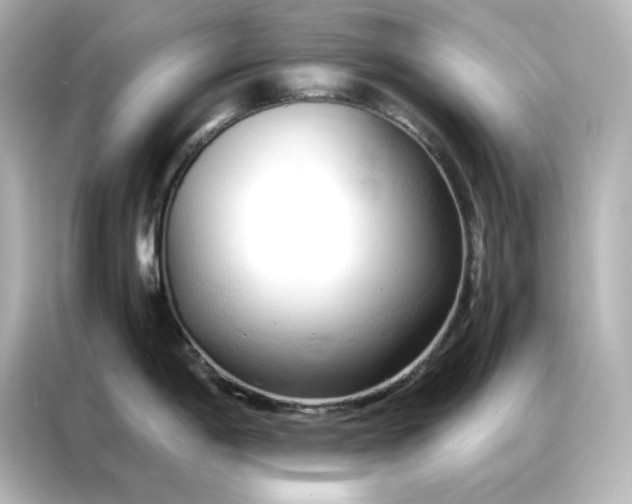 X0000086901198200704301011