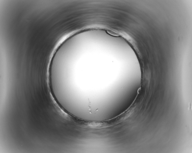 X0000086901199200704301011