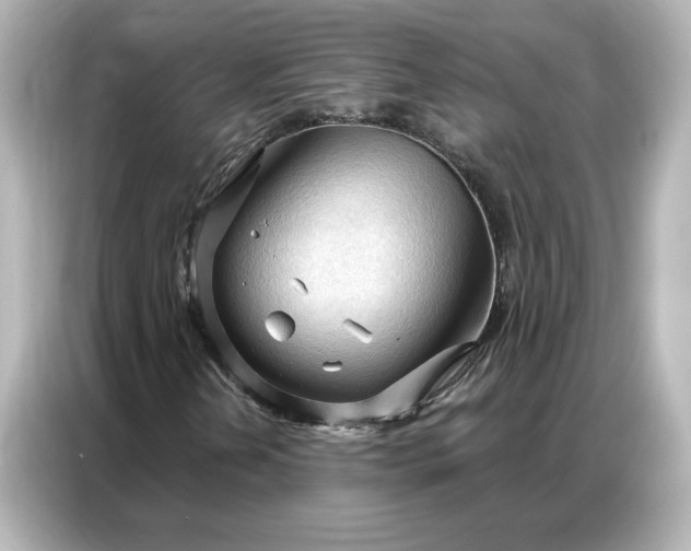 X0000086901202200704301010