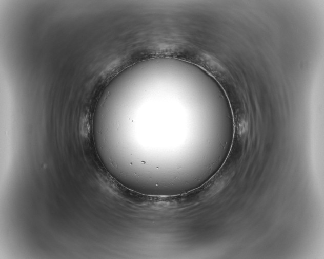 X0000086901204200704301010