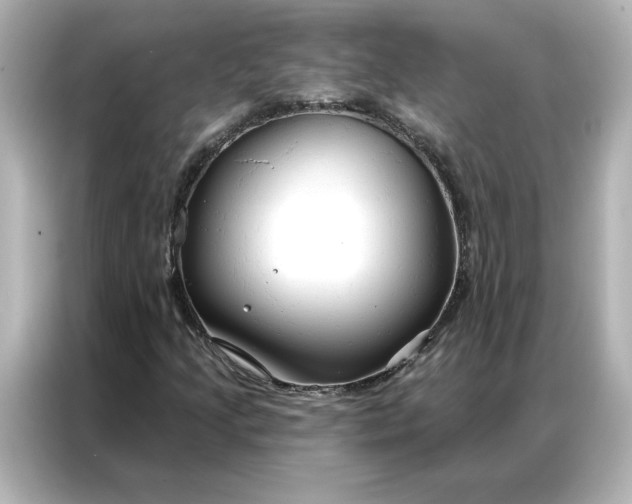 X0000086901205200704301010