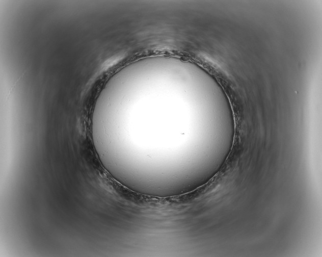 X0000086901207200704301010