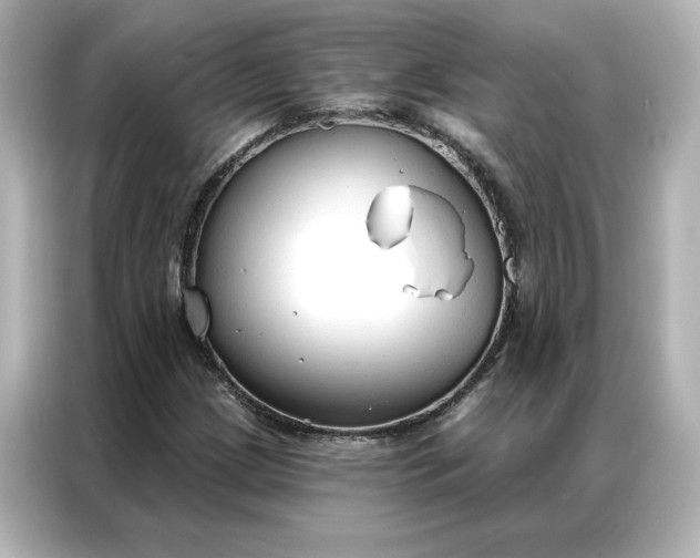 X0000086901209200704301010