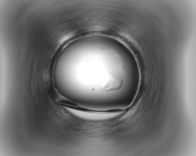 X0000086901210200704301010