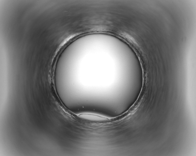 X0000086901212200704301010