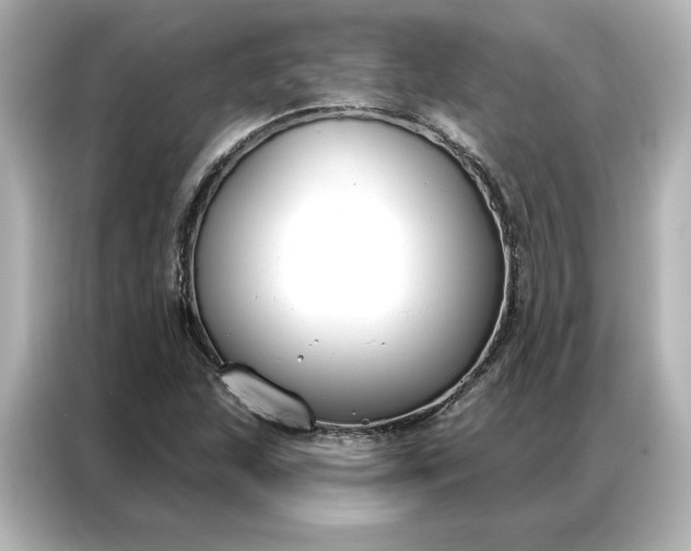 X0000086901215200704301010