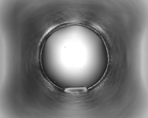 X0000086901216200704301010