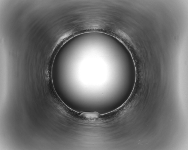 X0000086901218200704301010