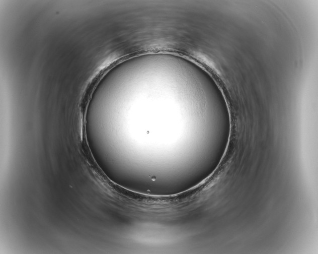 X0000086901219200704301010