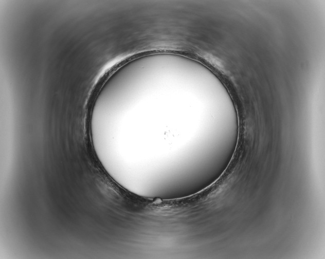 X0000086901222200704301010