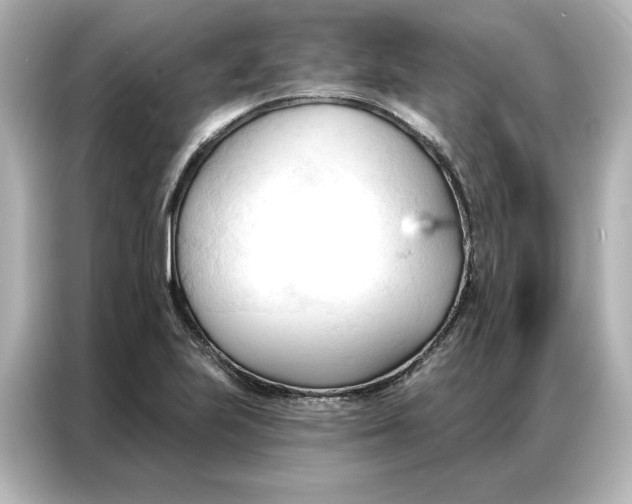 X0000086901223200704301010