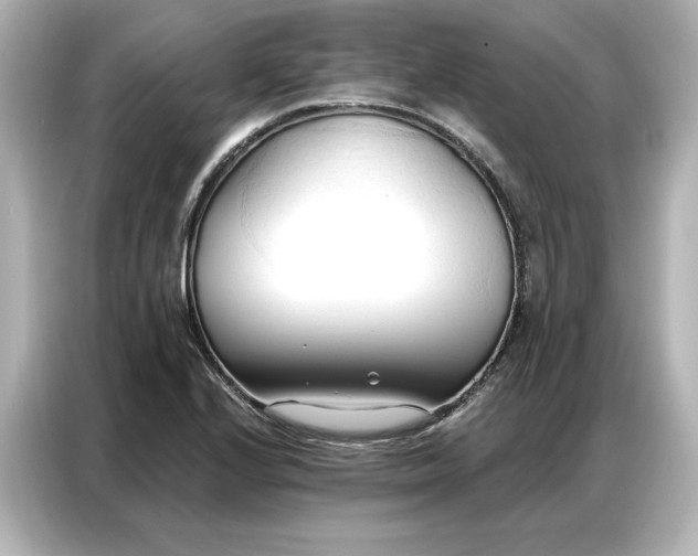 X0000086901224200704301010