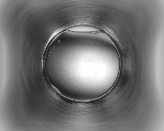 X0000086901226200704301010