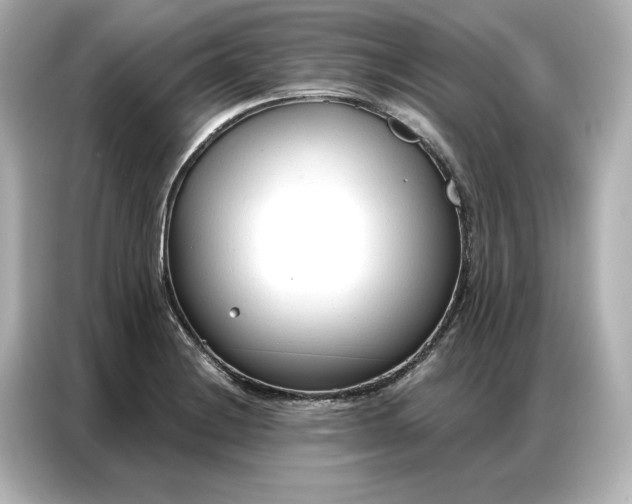 X0000086901228200704301010